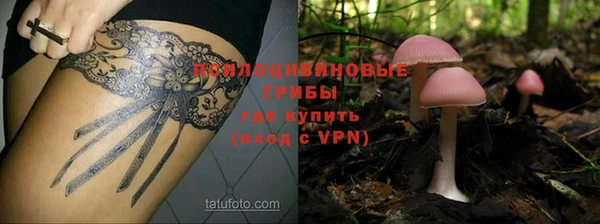 соль курить ск Алзамай