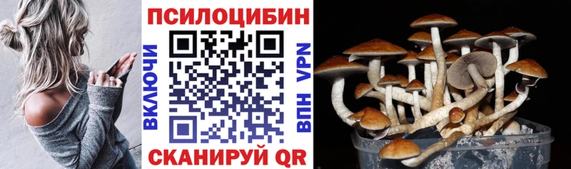 закладки  Грайворон  площадка какой сайт  Псилоцибиновые грибы MAGIC MUSHROOMS 